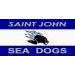 Sea Dogs flag